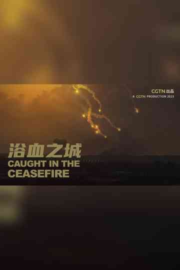 Caught in the ceasefire poster