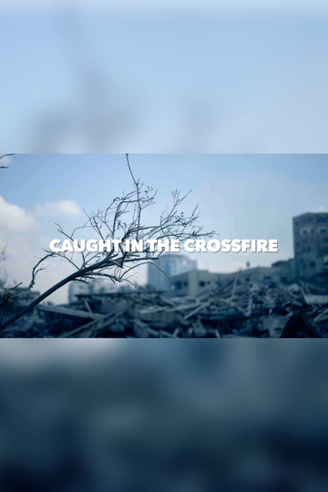 Caught in the crossfire