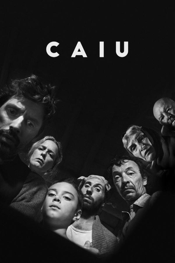 Caiu Poster