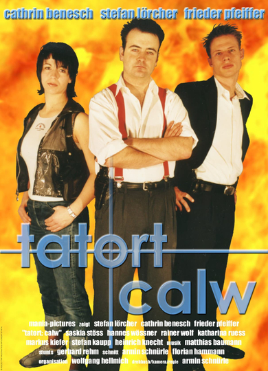 Tatort Calw - Tödliche Rache Poster