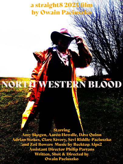 North Western Blood Poster