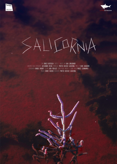 Salicornia Poster