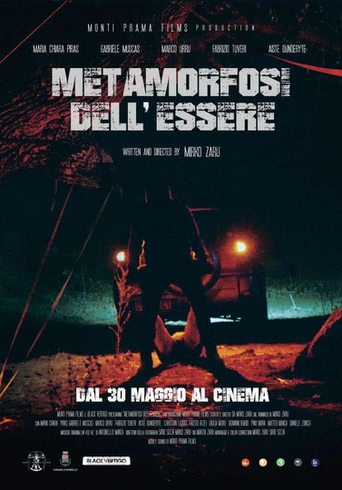 Metamorfosi dell'essere Poster