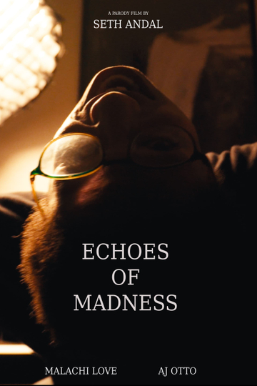 Echoes of Madness Poster