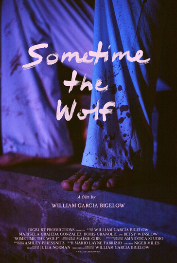 Sometime the Wolf Poster