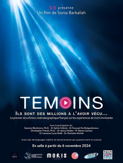 Témoins Poster