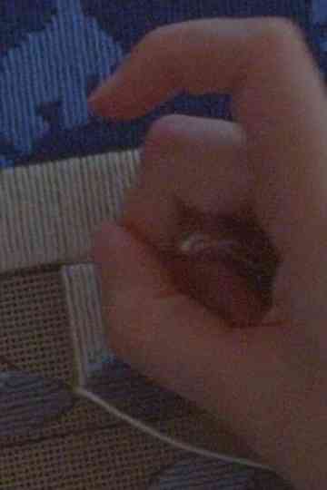 Our Lady Who Burns Poster