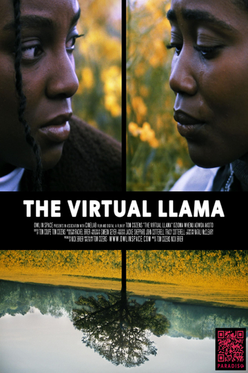 The Virtual Llama Poster