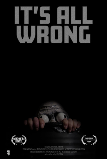 It's All Wrong Poster