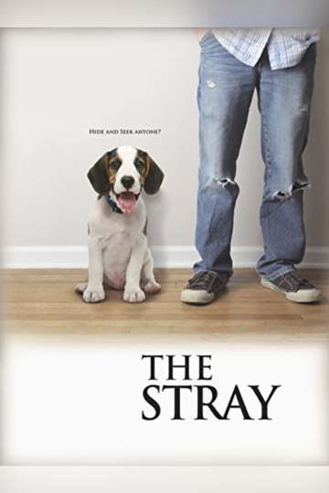 The Stray Poster
