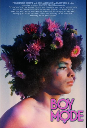 Boy Mode Poster