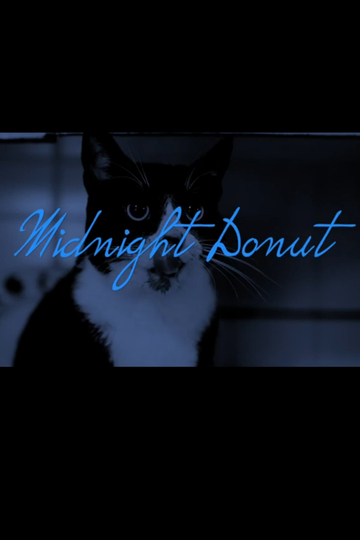 Midnight Donut Poster