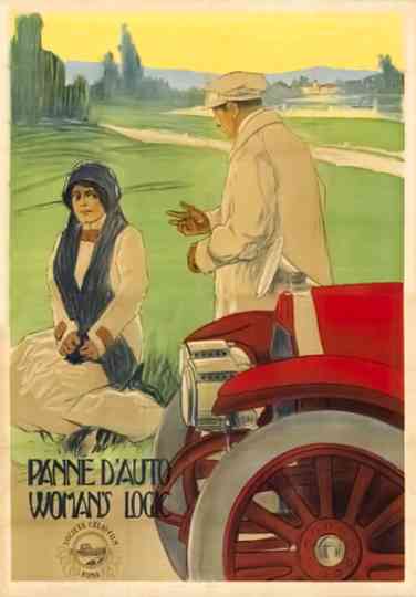 Woman's Logic Poster