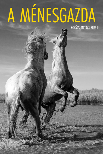 The Stud Farm Poster