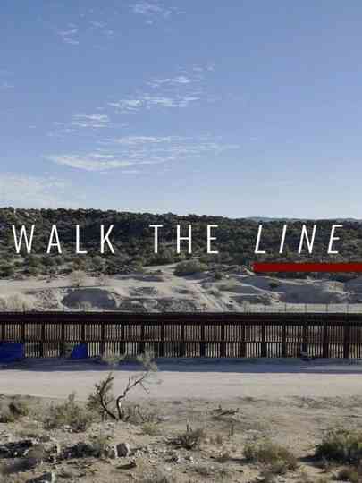 Walk The Line Poster