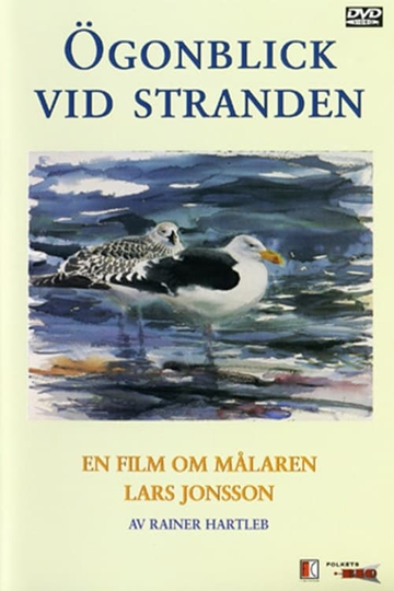 Ögonblick Vid Stranden