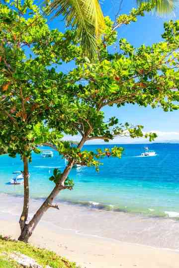 Die Dominikanische Republik: Lebensfreude und Lockenwickler Poster