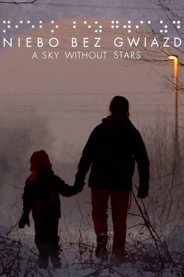 A Sky Without Stars