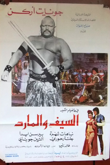 The Sword and the Genie Poster