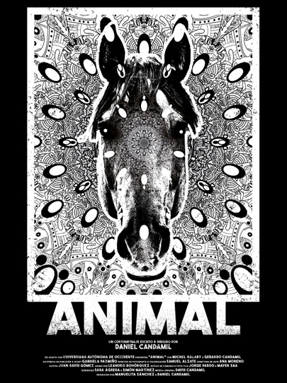 Animal