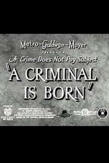 A Criminal Is Born Poster