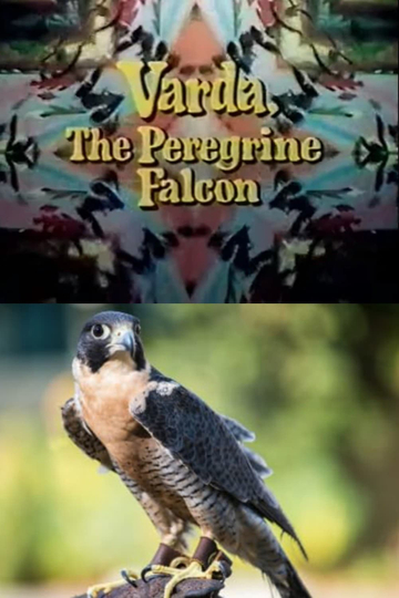 Varda, the Peregrine Falcon Poster