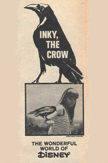 Inky, the Crow Poster