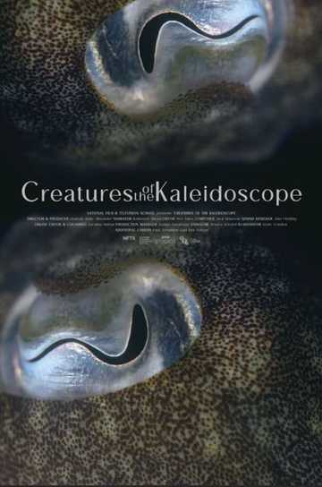 Creatures of the Kaleidoscope