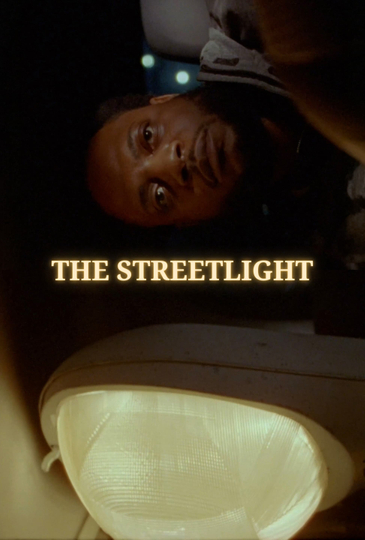 The Streetlight Poster