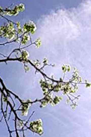 Film-Diario Digitale