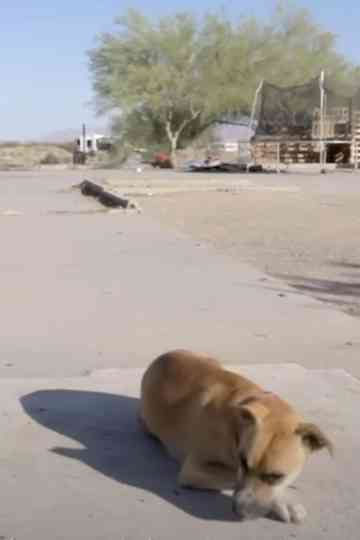 The Last Free Place in America poster