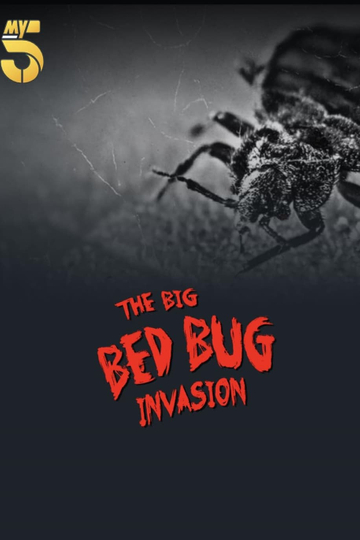 The Big Bed Bug Invasion