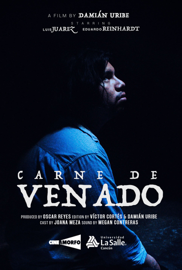 Carne de Venado