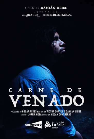 Carne de Venado