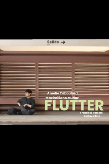 Flutter Poster