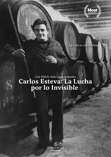 Carlos Esteva: La lucha por lo invisible