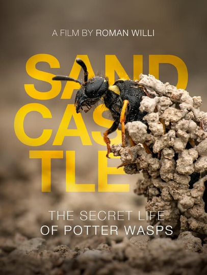 Sandcastle - The Secret Life Of Potter Wasps