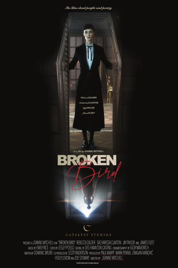 Broken Bird Poster