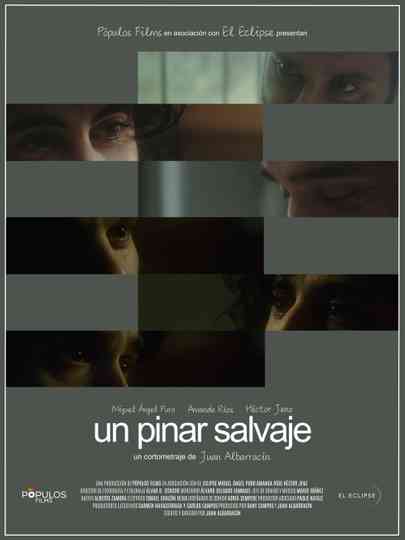 Un pinar salvaje