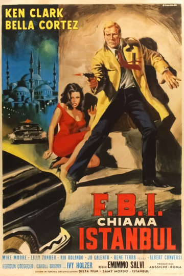 F.B.I. chiama Istanbul Poster