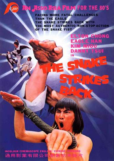 The Snake Strikes Back Poster