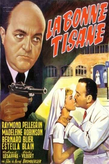 Secrets of a French Nurse Poster