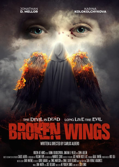 Broken Wings Poster