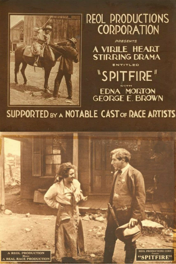 Spitfire Poster