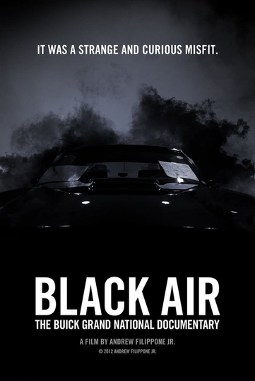 Black Air The Buick Grand National Documentary