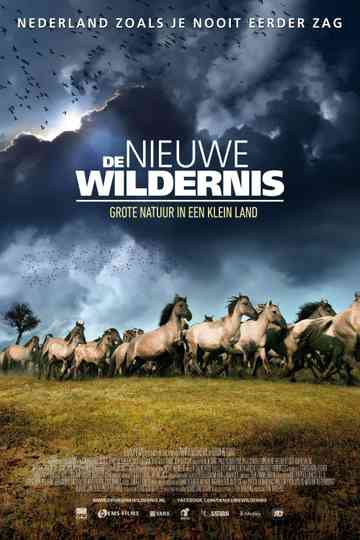 The New Wilderness