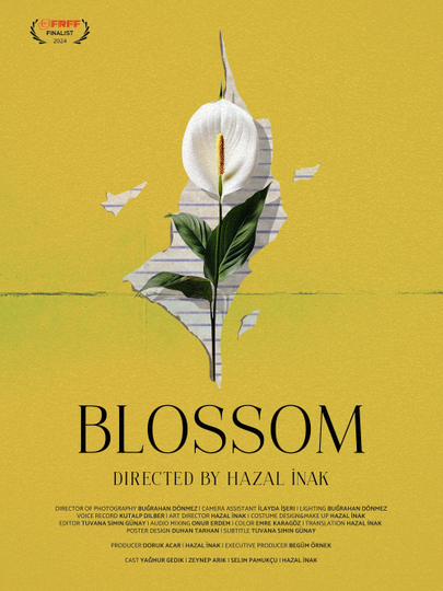 Blossom Poster