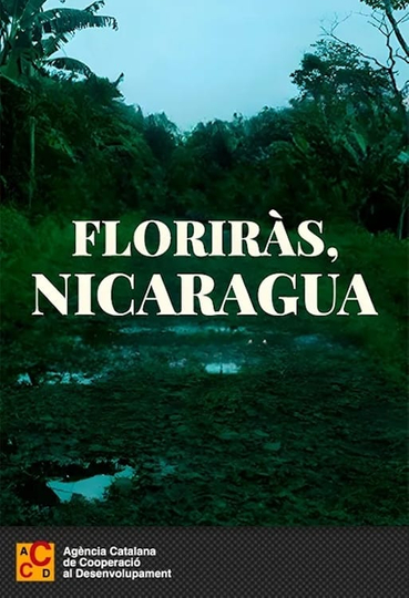 Florecerás, Nicaragua