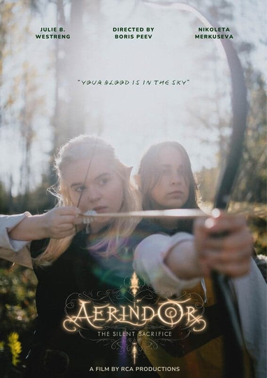 Aerindor: The silent sacrifice Poster