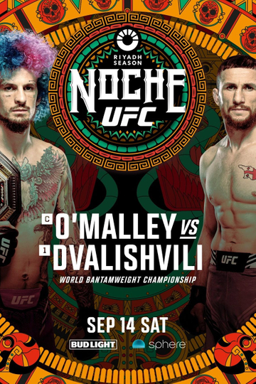 UFC 306 Poster